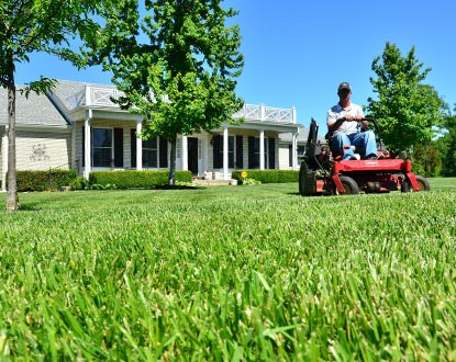 LAWN CARE
