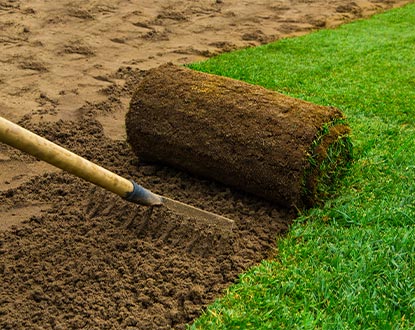 SOD INSTALLATION